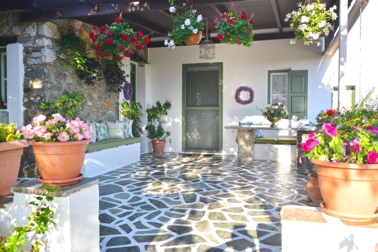 Ktima Dimitrios Vila Naxos City Exterior foto